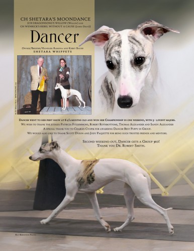 GCH Shetara's Moondance