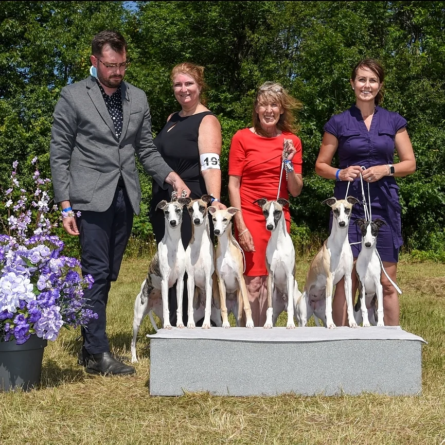 Team Shetara at a recent dog show